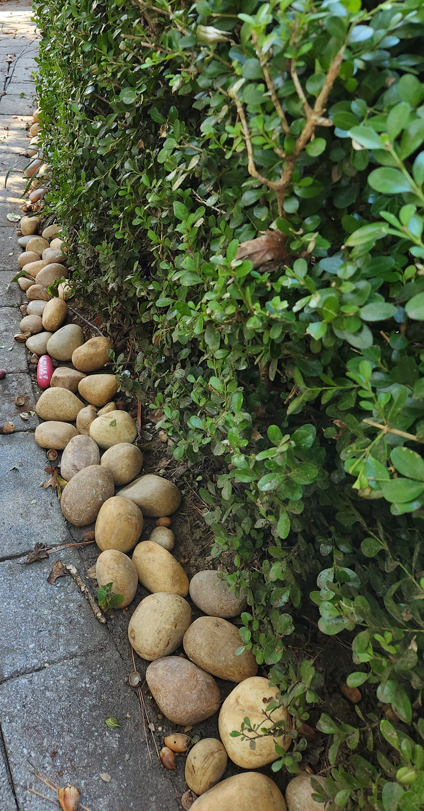 landscape stones along a sidewalk