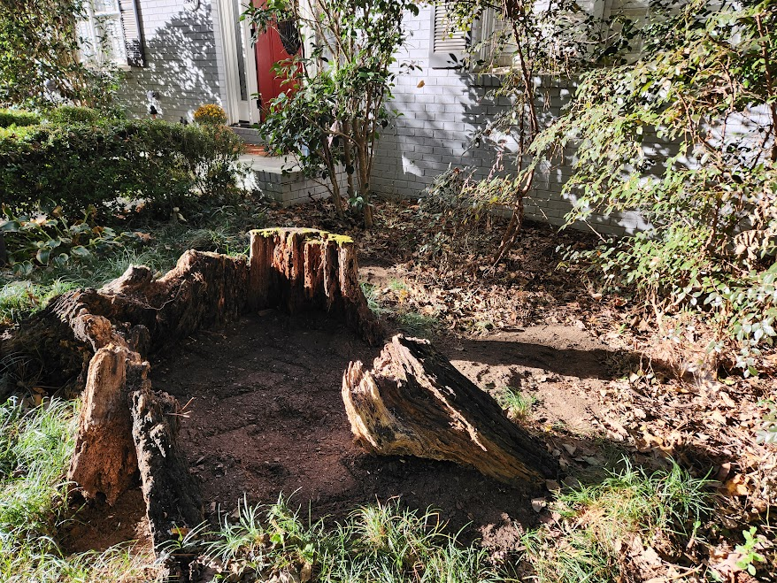 stump filled in with rocks and dirt