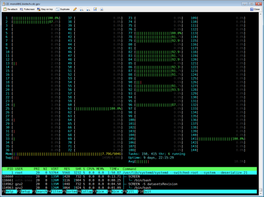 htop example